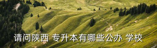請(qǐng)問陜西 專升本有哪些公辦 學(xué)校