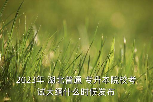 2023年 湖北普通 專(zhuān)升本院?？荚嚧缶V什么時(shí)候發(fā)布