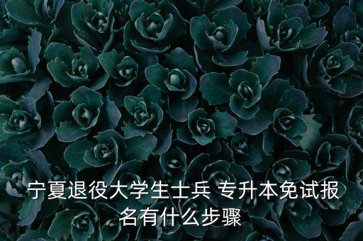  寧夏退役大學(xué)生士兵 專升本免試報名有什么步驟