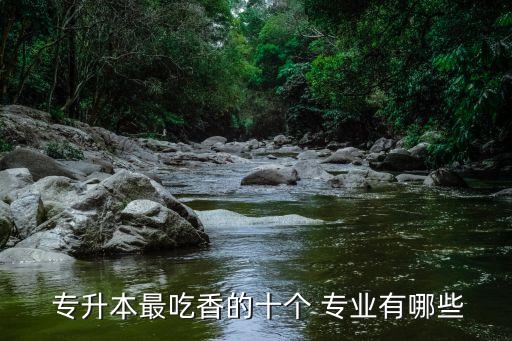  專升本最吃香的十個 專業(yè)有哪些