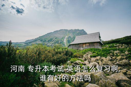 河南 專(zhuān)升本考試 英語(yǔ)怎么復(fù)習(xí)啊,誰(shuí)有好的方法嗎