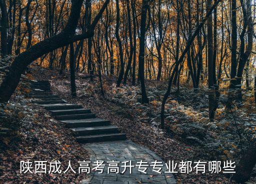 油氣儲運(yùn)技術(shù)專升本