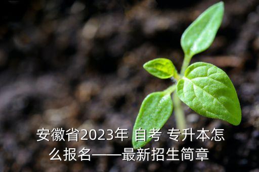  安徽省2023年 自考 專升本怎么報名——最新招生簡章