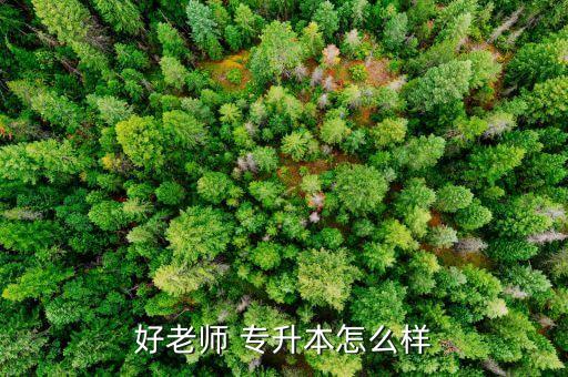好老師 專(zhuān)升本怎么樣