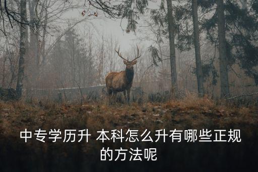  中專學歷升 本科怎么升有哪些正規(guī)的方法呢