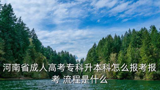 河南省成人高考?？粕究圃趺磮罂紙罂?流程是什么