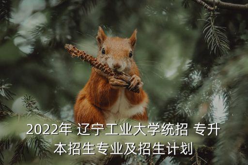 2022年 遼寧工業(yè)大學(xué)統(tǒng)招 專(zhuān)升本招生專(zhuān)業(yè)及招生計(jì)劃