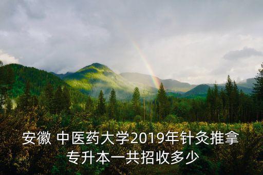安徽 中醫(yī)藥大學(xué)2019年針灸推拿 專升本一共招收多少