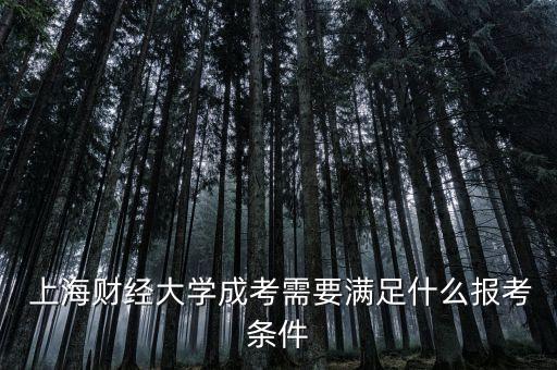  上海財(cái)經(jīng)大學(xué)成考需要滿足什么報(bào)考條件
