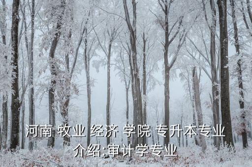 河南 牧業(yè) 經(jīng)濟(jì) 學(xué)院 專升本專業(yè)介紹:審計(jì)學(xué)專業(yè)