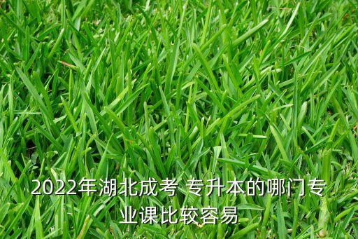 2022年湖北成考 專升本的哪門專業(yè)課比較容易