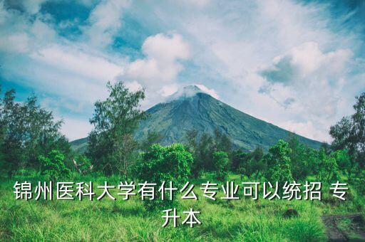 2017年遼寧省專升本試題,遼寧省2017年專升本計算機答案