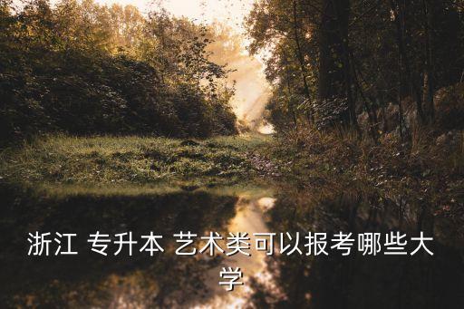 浙江 專升本 藝術(shù)類可以報(bào)考哪些大學(xué)