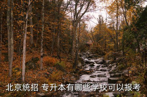 北京統(tǒng)招 專升本有哪些學(xué)?？梢詧?bào)考