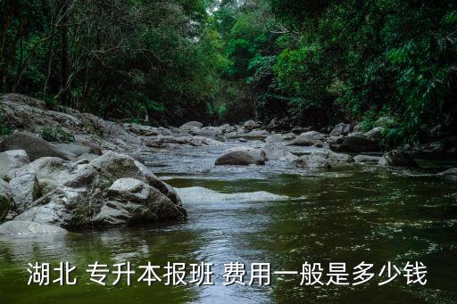 湖北 專升本報(bào)班 費(fèi)用一般是多少錢