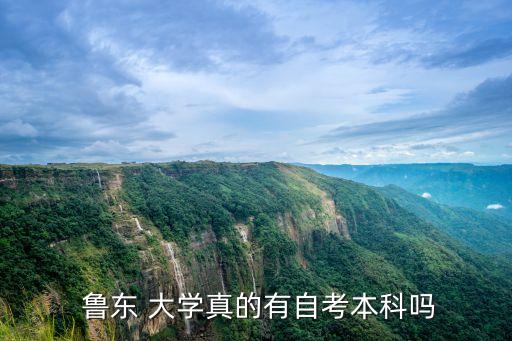  魯東 大學真的有自考本科嗎