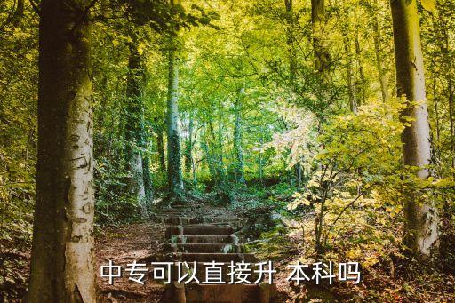 中專升本科嗎,中專可以直接升本科嗎