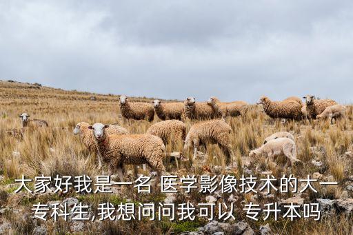 大家好我是一名 醫(yī)學(xué)影像技術(shù)的大一?？粕?我想問問我可以 專升本嗎