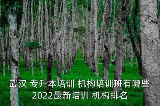 武漢 專升本培訓(xùn) 機構(gòu)培訓(xùn)班有哪些2022最新培訓(xùn) 機構(gòu)排名