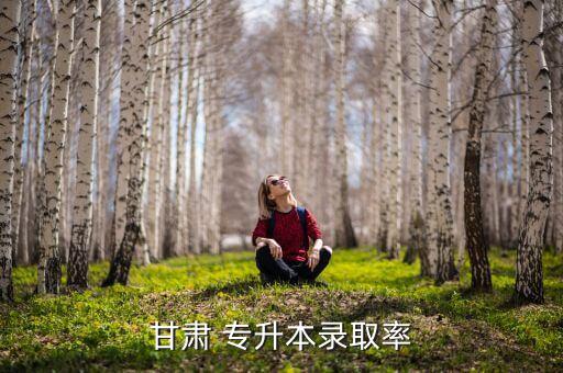 甘肅 專升本錄取率