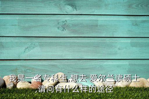 我是一名?？粕?想去 愛爾蘭讀碩士,請問有什么樣的途徑