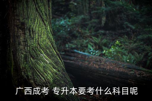 廣西成考 專升本要考什么科目呢