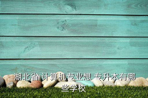  湖北省 計(jì)算機(jī)專(zhuān)業(yè)想 專(zhuān)升本有哪些學(xué)校