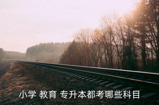 小學 教育 專升本都考哪些科目