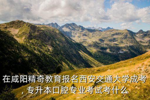 在咸陽(yáng)精奇教育報(bào)名西安交通大學(xué)成考, 專升本口腔專業(yè)考試考什么