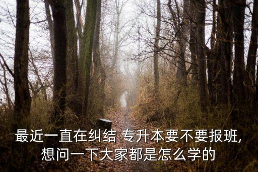 最近一直在糾結(jié) 專升本要不要報(bào)班,想問(wèn)一下大家都是怎么學(xué)的