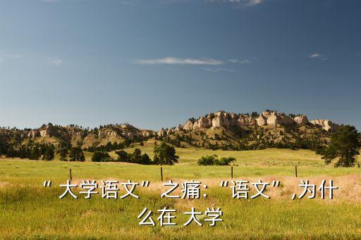 “ 大學語文”之痛:“語文”,為什么在 大學