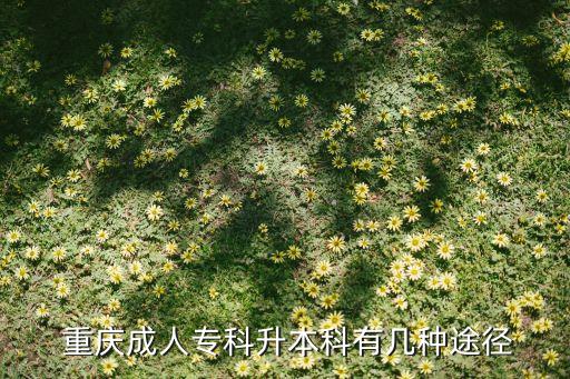  重慶成人?？粕究朴袔追N途徑