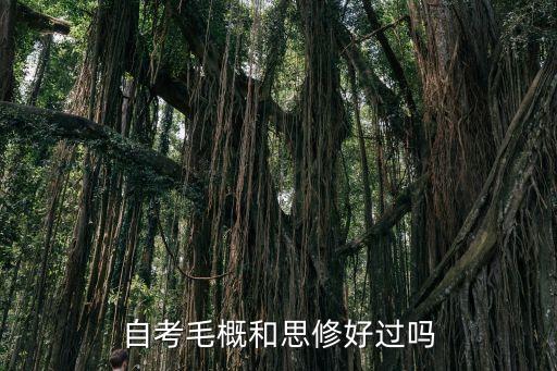 自考毛概和思修好過(guò)嗎
