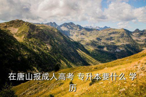 專升本前置學歷清查