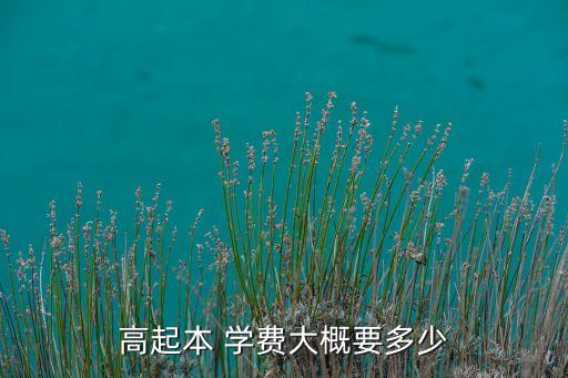 大專(zhuān)升本科的學(xué)費(fèi)