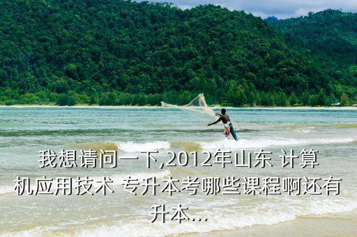 我想請問一下,2012年山東 計算機應(yīng)用技術(shù) 專升本考哪些課程啊還有升本...