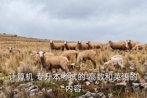 計算機 專升本考試的 高數(shù)和英語的內(nèi)容