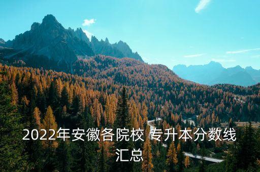 2022年安徽各院校 專升本分數(shù)線匯總