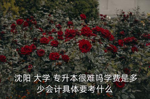 沈陽(yáng)大學(xué)專升本怎么樣,專升本沈陽(yáng)大學(xué)怎么樣知乎