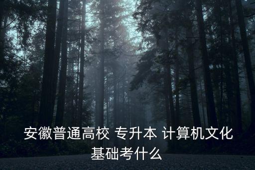  安徽普通高校 專升本 計算機文化基礎(chǔ)考什么