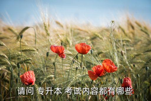 請問 專升本 考試內(nèi)容都有哪些