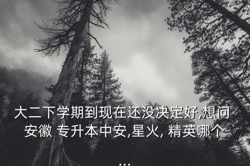 大二下學(xué)期到現(xiàn)在還沒決定好,想問 安徽 專升本中安,星火, 精英哪個...