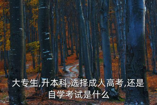 ?？粕钥歼€是專升本,21級(jí)?？粕裁磿r(shí)候?qū)Ｉ? /></a><a href=