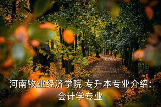 河南牧業(yè)經(jīng)濟學(xué)院 專升本專業(yè)介紹:會計學(xué)專業(yè)