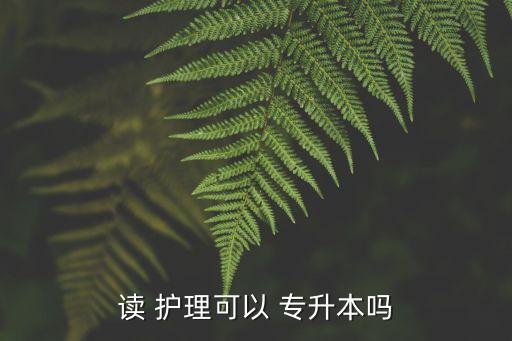 讀 護理可以 專升本嗎