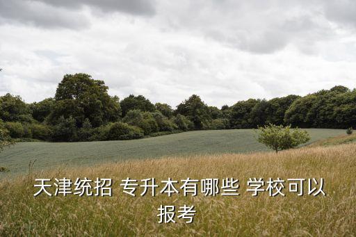 天津臨床專(zhuān)升本學(xué)校排名,河南專(zhuān)升本最好的學(xué)校排名