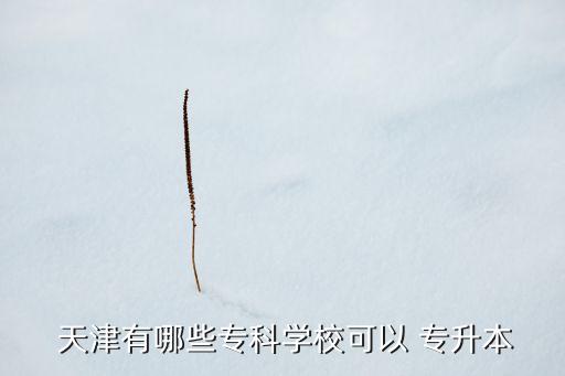  天津有哪些?？茖W(xué)校可以 專升本