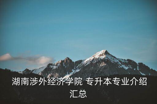  湖南涉外經(jīng)濟學院 專升本專業(yè)介紹匯總