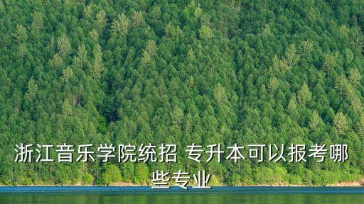 浙江音樂學(xué)院統(tǒng)招 專升本可以報(bào)考哪些專業(yè)