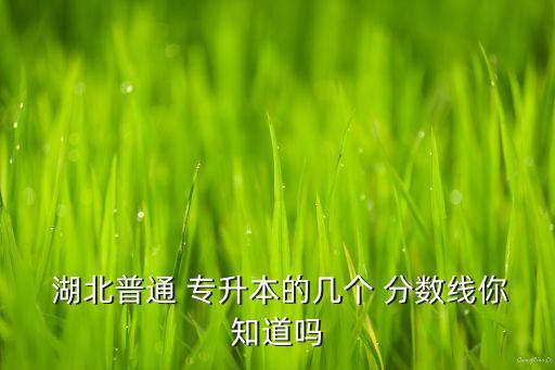  湖北普通 專升本的幾個(gè) 分?jǐn)?shù)線你知道嗎